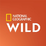 939b5dd4-4d98-4160-9626-0e931302c03f_180x180_natgeowild-150x150